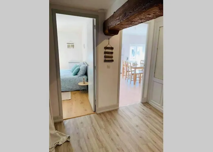Charmant appartement T2 hypercentre de Mazamet