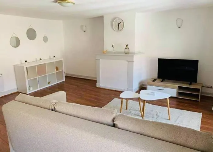 Charmant Appartement T2 Hypercentre De Mazamet